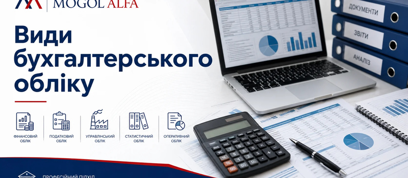 Види бухгалтерського обліку: основні види та їх значення для бізнесу
